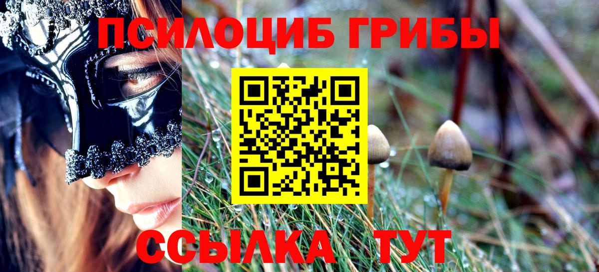 Псилоцибиновые грибы Psilocybe Дедовск
