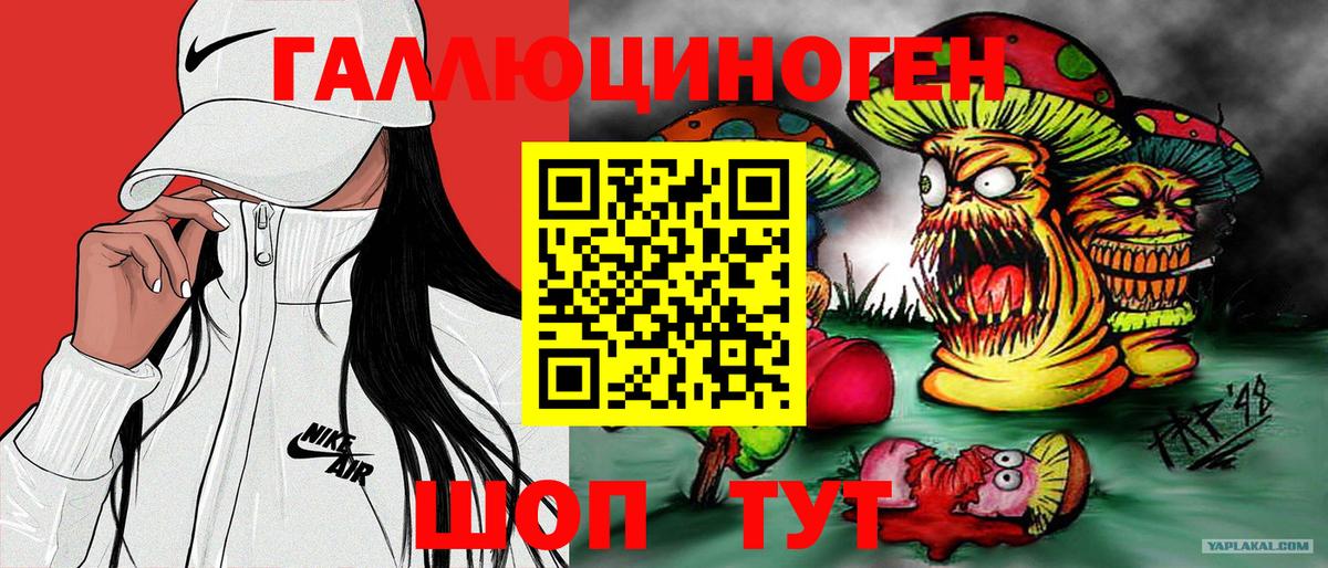 Галлюциногенные грибы Cubensis  Вход с VPN  купить  цена  Дедовск  Псилоцибиновые грибы GOLDEN TEACHER 